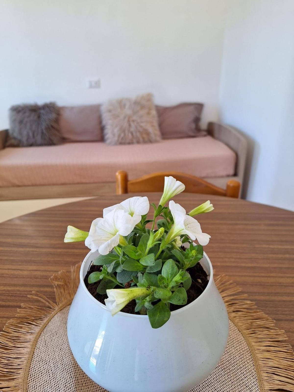 Hébergement de vacances La Casetta Di Nonna Rosa